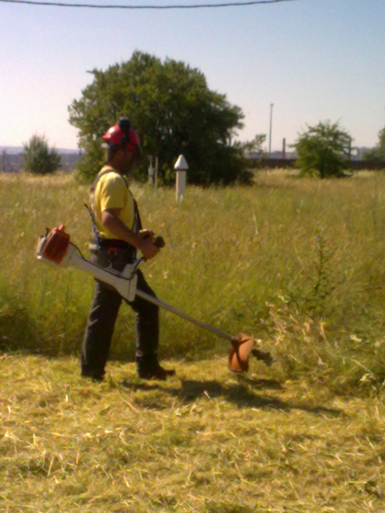 DESBROCE Y LIMPIEZA DE PARCELAS PARA PREVENCIN DE INCENDIOS 